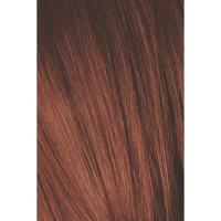 Крем-краска Schwarzkopf professional Igora Royal Absolutes 6-80, темный русый красный натуральный, 60 мл