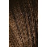 Крем-краска Schwarzkopf professional Igora Royal Absolutes 6-50, темный русый золотистый натуральный, 60 мл
