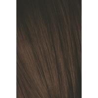 Крем-краска Schwarzkopf professional Igora Royal Absolutes 4-60, средний коричневый шоколадный натуральный, 60 мл