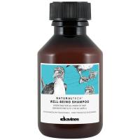 Шампунь увлажняющий Davines Naturaltech Well-Being для всех типов волос, 100 мл