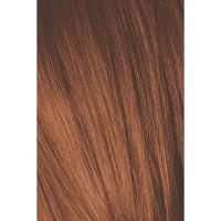 Крем-краска Schwarzkopf professional Igora Royal Absolutes 7-70, средний русый медный натуральный, 60 мл