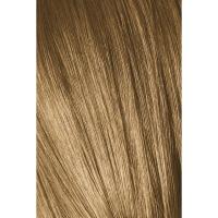 Крем-краска Schwarzkopf professional Igora Royal Absolutes 8-50, светлый русый золотистый натуральный, 60 мл