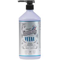 Шампунь Beardburys Vital против перхоти, для мужчин, 1000 мл