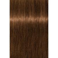 Крем-краска Schwarzkopf professional Igora Royal Absolutes 8-60, светлый русый шоколадный натуральный, 60 мл