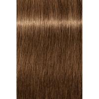 Крем-краска Schwarzkopf professional Igora Royal Absolutes 7-50, средний русый золотистый натуральный, 60 мл