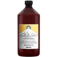 Шампунь очищающий Davines Naturaltech Purifying против перхоти, 1000 мл