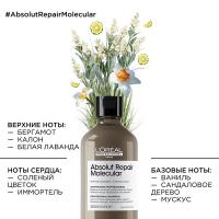 Шампунь L'Oreal Professionnel Serie Expert Absolut Repair Molecular для молекулярного восстановления волос, 300 мл