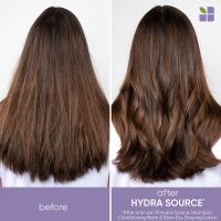Лосьон-термозащита Matrix Biolage Hydra Source Blow Dry текстурирующий для сушки волос феном, 150 мл